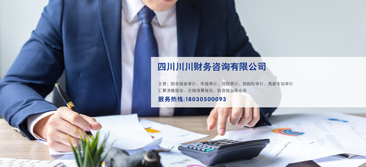 成功案例 財務咨詢如何助力企業實現逆勢增長