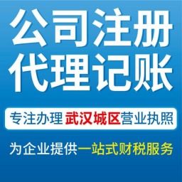 武漢青山代辦公司營業執照、工商注冊與會計服務全攻略